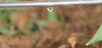 Netafim traz cenário de expansão para a Agrishow 2023