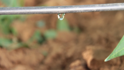 Netafim traz cenário de expansão para a Agrishow 2023