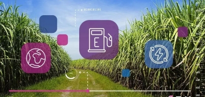 Cana-de-Açúcar: o agro brasileiro em busca de energia limpa e sustentável