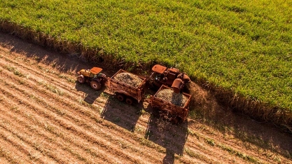 Canaplan estima moagem próxima das 600 milhões de toneladas para safra 2023/24