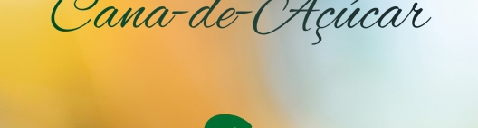 Folhei ou Baixe Grátis o pdf do livro Mulheres da Cana-de-Açúcar