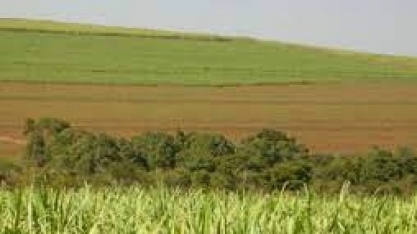 Ministros debatem diretrizes para a elaboração do Plano Safra com foco na sustentabilidade