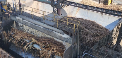 Usina Pindorama supera marca da safra passada e bate recorde de moagem pelo terceiro ano consecutivo