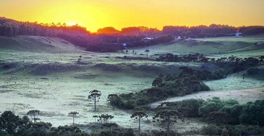 São Joaquim (SC) Foto: Agência São Joaquim Online