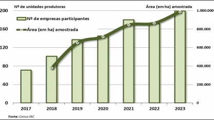 Equipe do Programa Cana IAC faz análise sobre a evolução da Muda Pré-Brotada (MPB)