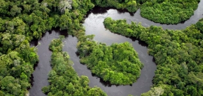 Como ESG e blockchain podem estar na costura de um agro mais sustentável