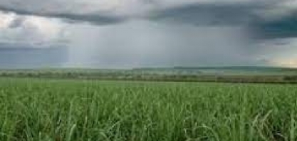 Chuva volta a cair forte no Sul, no Norte e litoral do Nordeste