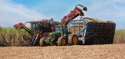 COFCO International projeta aumento para a safra da cana-de-açúcar em 2023