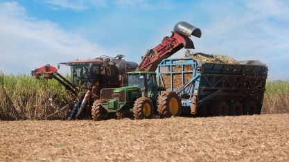 COFCO International projeta aumento para a safra da cana-de-açúcar em 2023