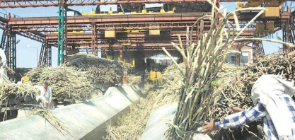 Produção de açúcar da Índia cai 5,4% ano a ano com usinas fechando mais cedo