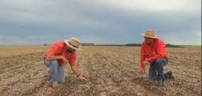 Bioinsumos: uso de fungos e bactérias para fertilizar o solo e combater pragas cresce no campo