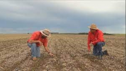 Bioinsumos: uso de fungos e bactérias para fertilizar o solo e combater pragas cresce no campo