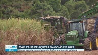 Produção de cana de açucar deve aumentar 4% em Goiás 