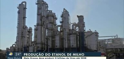 Produção de etanol de milho cresce em Mato Grosso - 31/03/2023