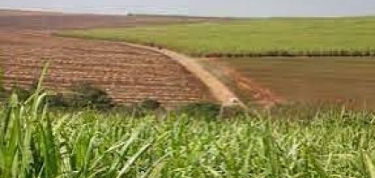 RenovaBio: ANP divulga metas definitivas para as distribuidoras em 2023