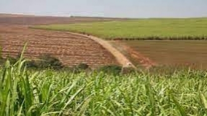 RenovaBio: ANP divulga metas definitivas para as distribuidoras em 2023