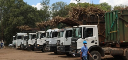 Sindaçúcar-AL: safra 22/23 acumula crescimento de 2,4%