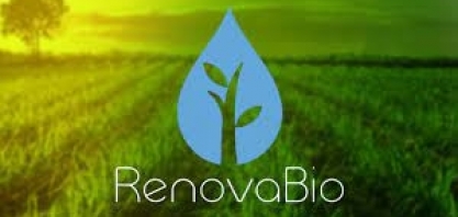 DOU: governo altera comitê RenovaBio e data para comprovação de atendimento à meta individual