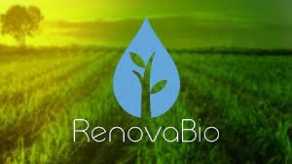 DOU: governo altera comitê RenovaBio e data para comprovação de atendimento à meta individual