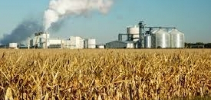 Milho/USDA: uso para etanol nos EUA diminui 9% em fevereiro, para 10,16 milhões de toneladas
