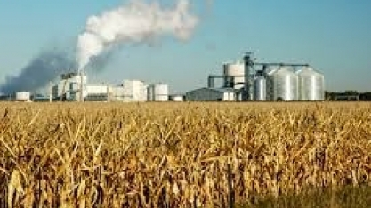 Milho/USDA: uso para etanol nos EUA diminui 9% em fevereiro, para 10,16 milhões de toneladas