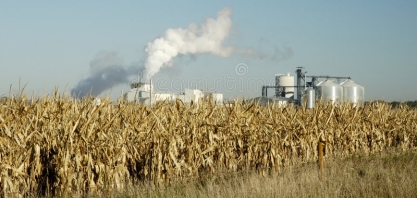 Etanol/EUA: produção fica estável na semana, em 1,003 milhão de barris/dia