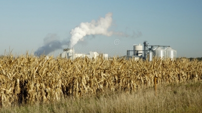 Etanol/EUA: produção fica estável na semana, em 1,003 milhão de barris/dia