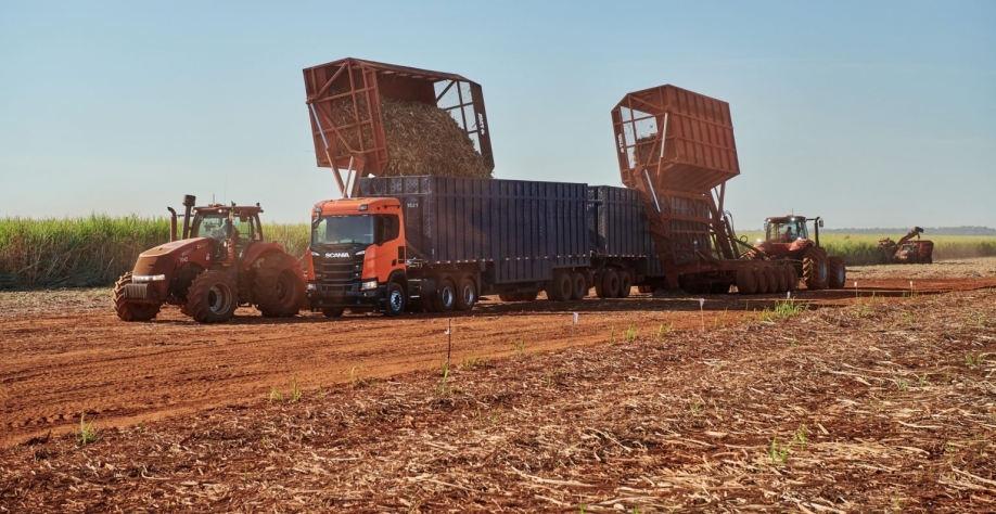 Caminhão Scania, da série R, durante colheita mecanizada de cana-de-açúcar (foto: Carlos Biagini, Scania)