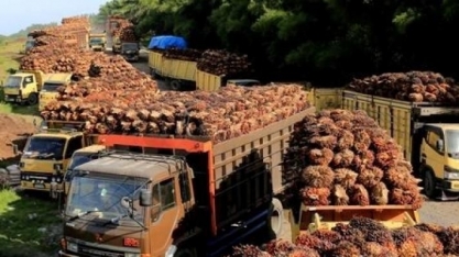 Indonésia enfrenta dificuldades para fazer B35 engrenar