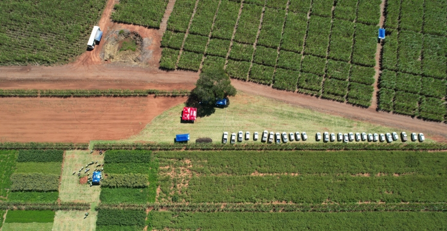 Imagem aérea do Dia de Campo entre Embrapa Agropecuária Oeste e Raízen. Foto: Orismar Espíndola