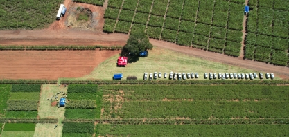 Dia de Campo debate o cultivo de cana em ambientes restritivos
