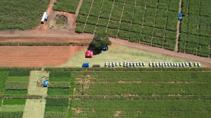 Dia de Campo debate o cultivo de cana em ambientes restritivos