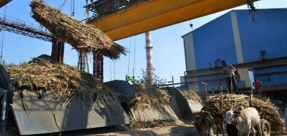 Produção de açúcar da Índia cai 3,3% entre outubro e março, diz associação