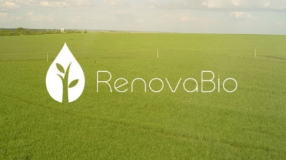 Emissões de CBios desaceleram na primeira quinzena