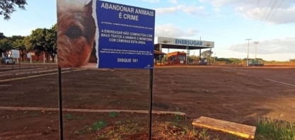 Enersugar faz trabalho de conscientização contra maus-tratos a animais