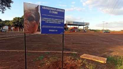 Enersugar faz trabalho de conscientização contra maus-tratos a animais