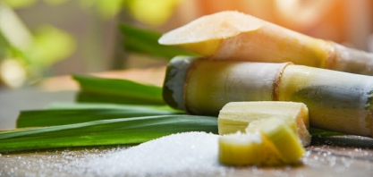 Centro-Sul do Brasil acelera ritmo de moagem de cana na 1ª quinzena de maio