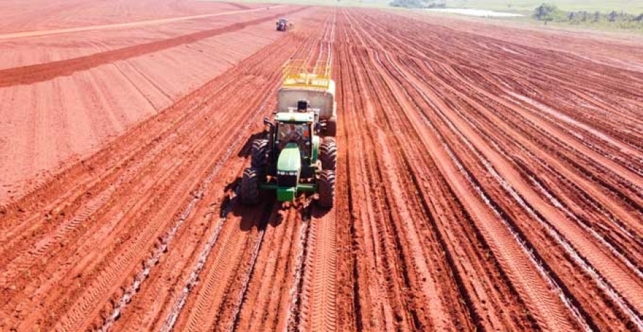 A preservação do solo impulsionando a produtividade.