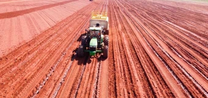 Pedra Agroindustrial: Sucessão de cultura