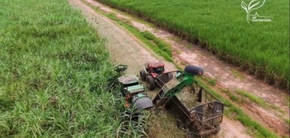 Resíduos viram ativos econômicos em usina de álcool e açúcar