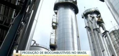 Safra 2023/24: Conab prevê alta de 42% na produção de etanol de milho