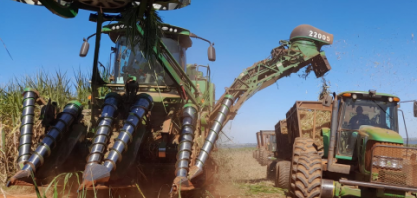 Primeiro mês de colheita na Estiva supera expectativas