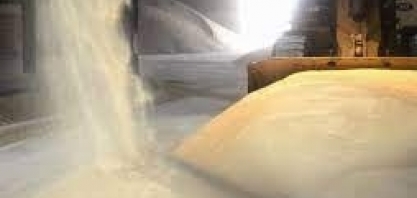 Imponderável de Oliveira