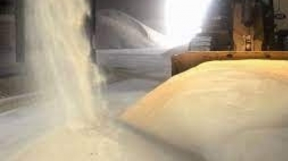 Imponderável de Oliveira