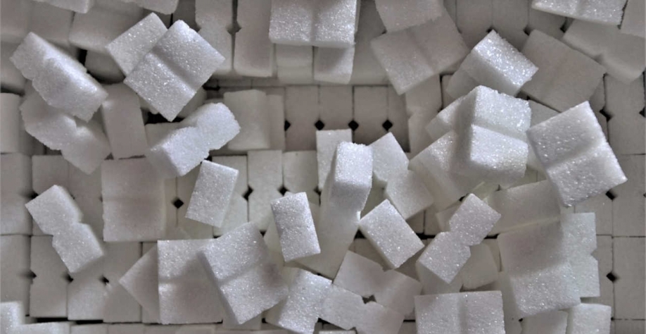 (Imagem: Pixabay/pasja1000)