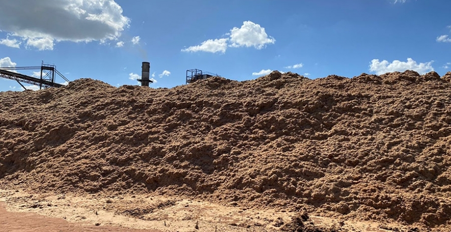 Biomassa 1G, matéria prima para a produção de pellets. Foto: Ronaldo Viana