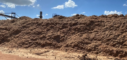 Ciência avança na produção de biomassa para energia