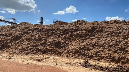 Ciência avança na produção de biomassa para energia