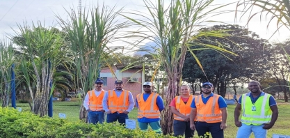 Alcoolvale: Agrícola mostra crescimento das mudas de cana-de-açúcar