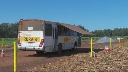 Usina da região de Ribeirão Preto, SP, faz simulação para treinar brigadistas